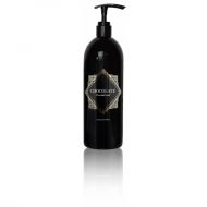 PROFIS CHOCOLATE SHAMPOO - СТИМУЛИРАЩ ШАМПОАН ЗА УВРЕДЕНА КОСА С ШОКОЛАД  1000 мл