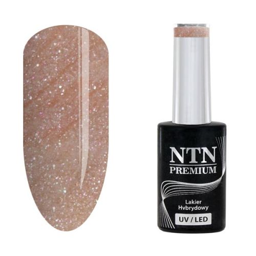 NTN PREMIUM LED DAY DREAMING - ГЕЛ ЛАК №63 - 5гр