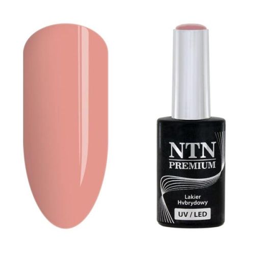 NTN PREMIUM LED MISS UNIVERSE - ГЕЛ ЛАК №31 - 5гр