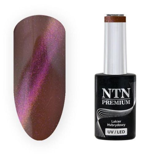 NTN PREMIUM LED MAGNETIC CAT EYE 6D - ГЕЛ ЛАК №225 5гр